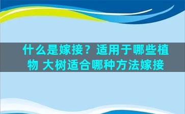 什么是嫁接？适用于哪些植物 大树适合哪种方法嫁接